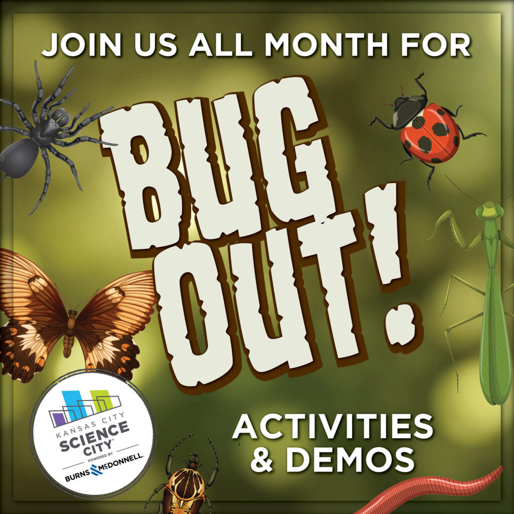 Poster for Science City's May 2026 theme Bug Out! Featuring different insects against a great, leafy background.