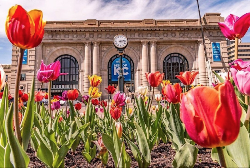 Tulips and Union Station in the spring by Roy Inman Photography