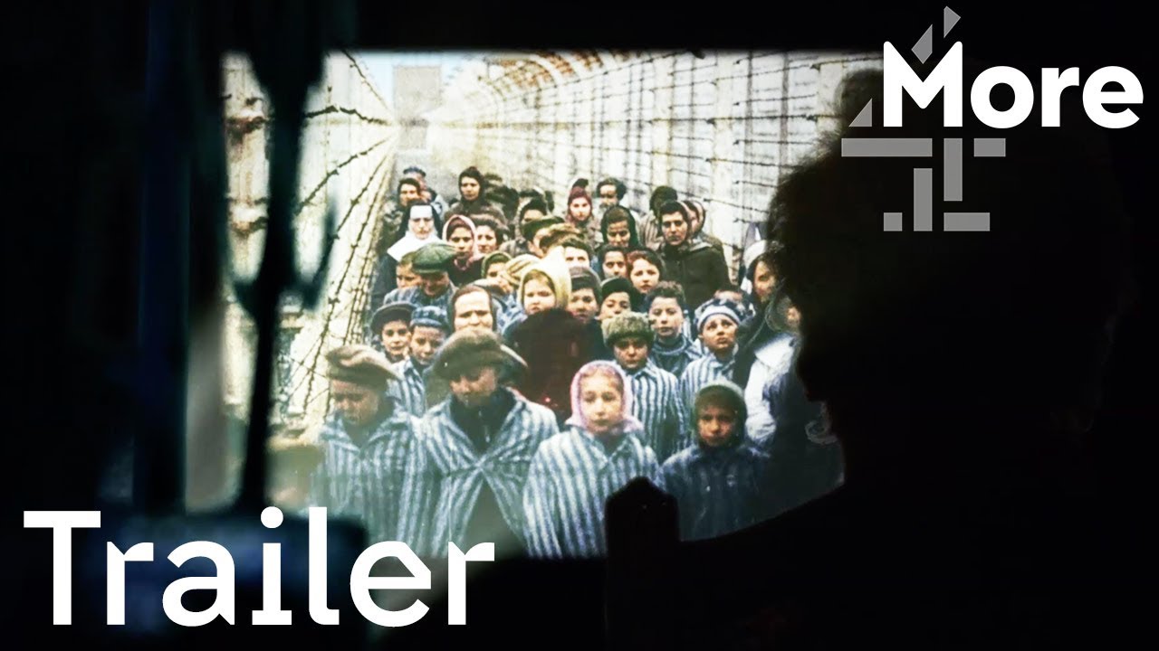 Image for Auschwitz Untold in Color