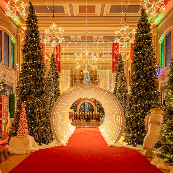 Photo inside of Holiday Reflections looking through a light tunnel with various holiday decorations and trees.
