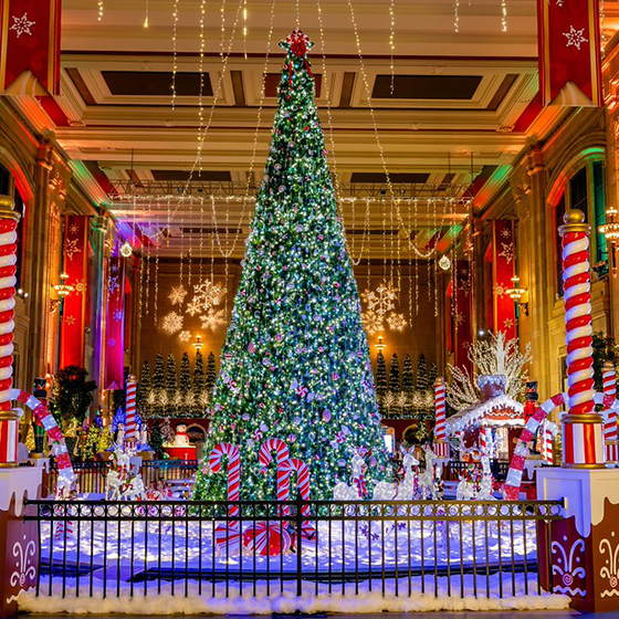 Image from Holiday Reflections showing. a large christmas tree.