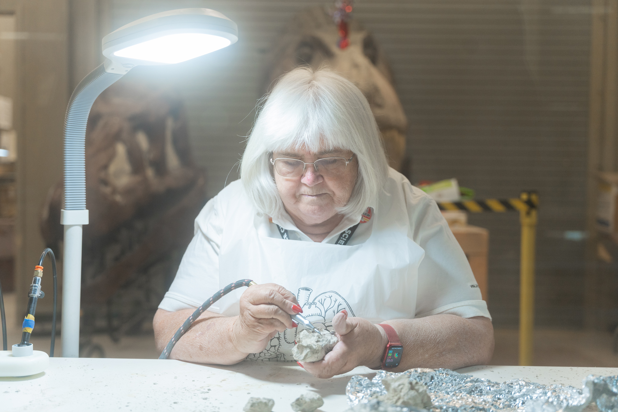 Volunteer working in Science City's Dino Lab