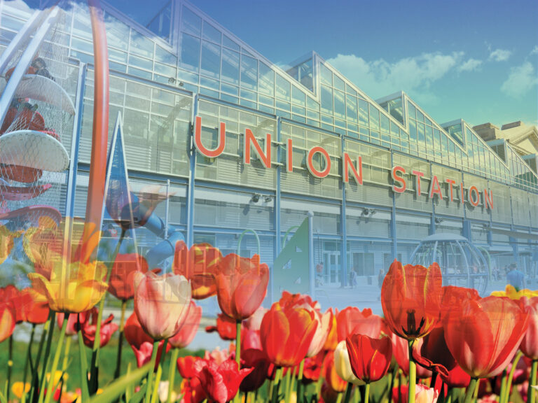 Photo of the exterior of Science City with flowers in the foreground