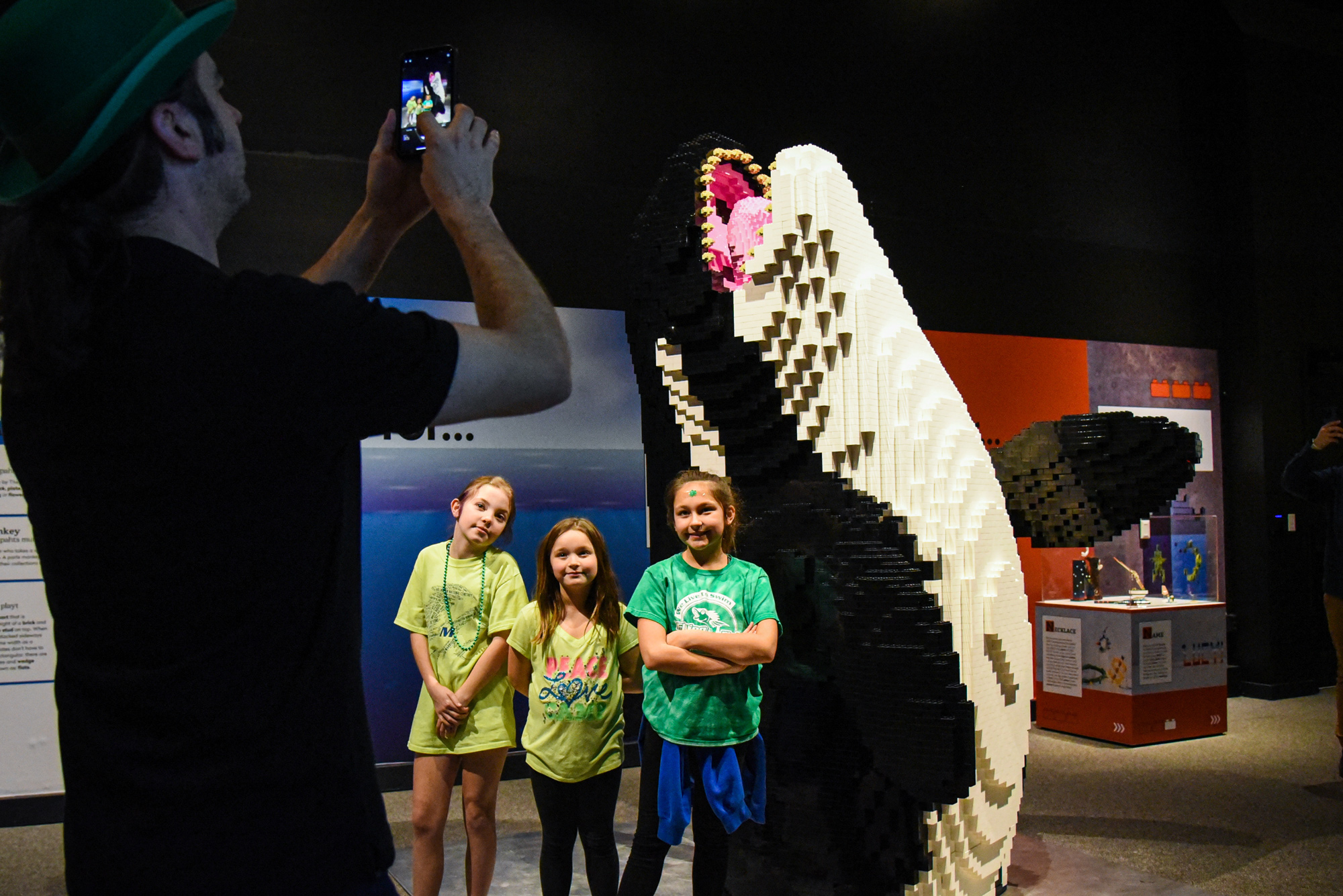 Photo from Bricktionary of an orca model