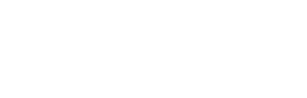  The Berlin Wall Logo