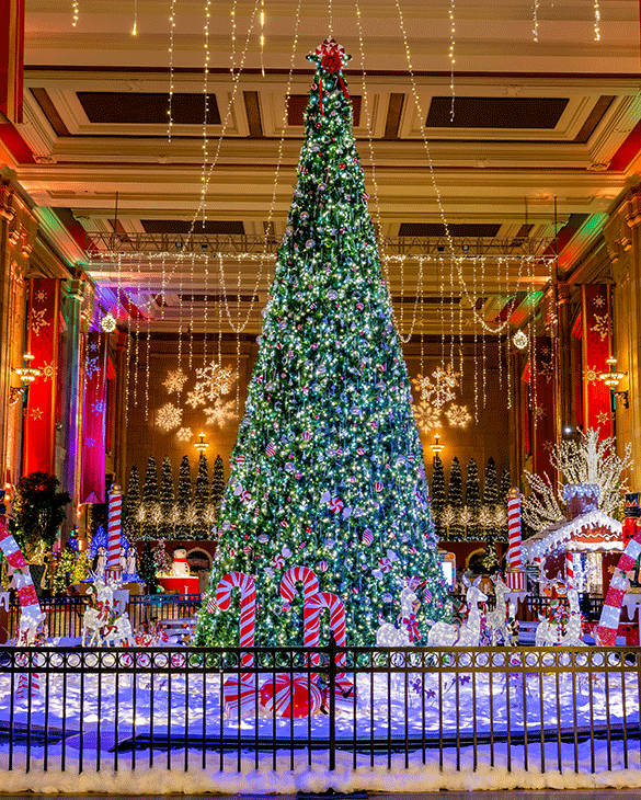 A picture of a tree decoratd for the holidays inside of Union Station.