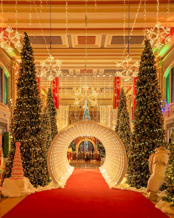Image of a tunnel of lights inside of Holiday Reflections.